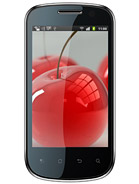 Best available price of Celkon A19 in Ukraine
