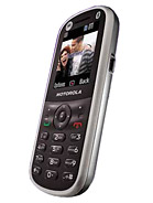 Best available price of Motorola WX288 in Ukraine
